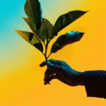 Immigration & Sociétés |ROMAN| “Jusqu’au bout de l’espoir” — Entretien avec l’Ecrivain Abdoul Aziz Gningue