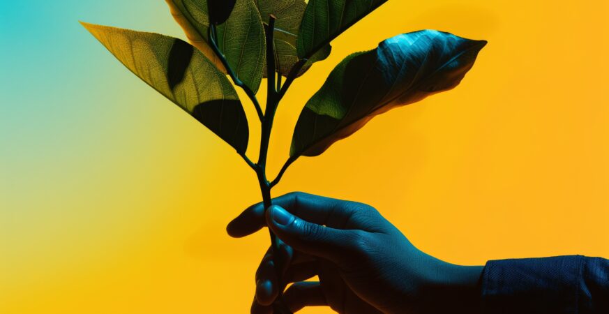 bras tenant une fleur