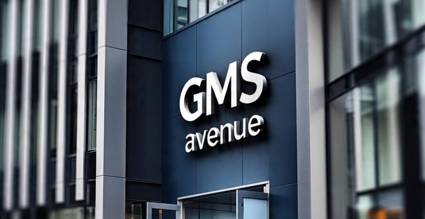 GMSAVENUE logo institutionnel
