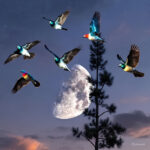 Monde du livre | top 50 auteurs des grandes maisons d’édition en France, Belgique et Canada.