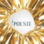 WORLD WIDE WEB | Qui seront les sites web les plus visités en 2026 ?